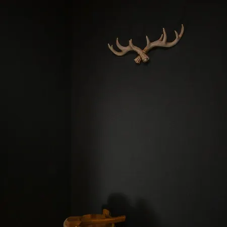 Eigene Sauna 2 Schlafzimmer Sehr Zentral Winterberghome Апартаменты