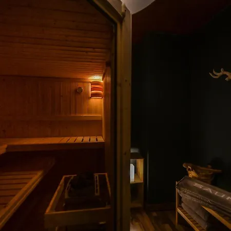 Apartment Eigene Sauna 2 Schlafzimmer Sehr Zentral Winterberghome *