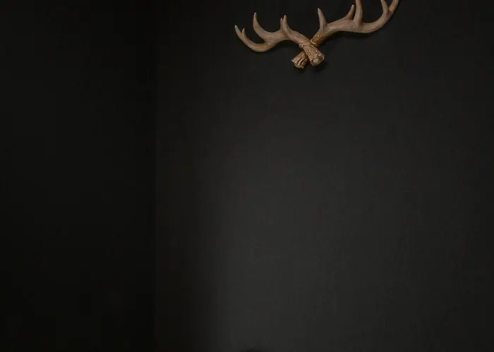 Eigene Sauna 2 Schlafzimmer Sehr Zentral Winterberghome Appartement